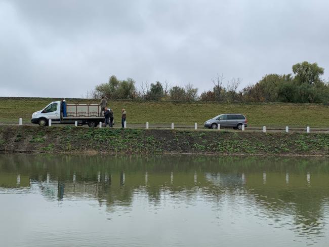 Haltelepítés 2020.11.02.-án