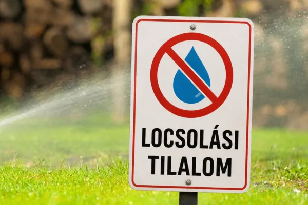 locsolás