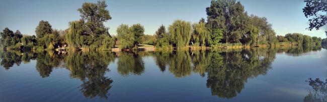 Egyesületünk története