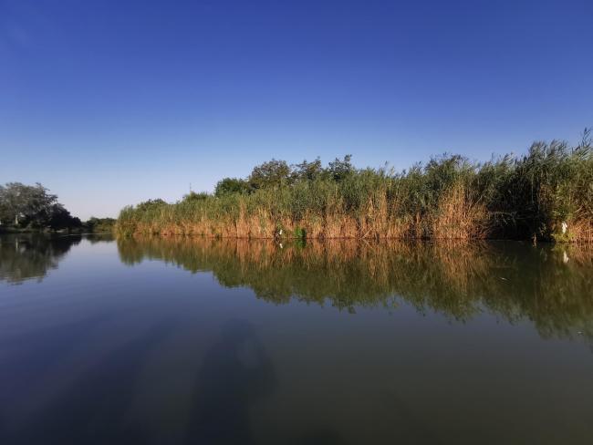 Egyesületünk története