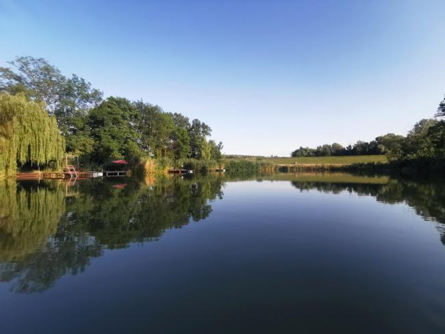 Egyesületünk története