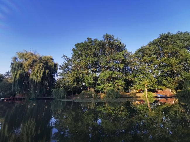 Egyesületünk története