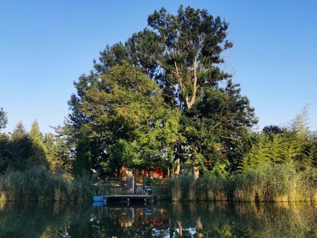 Egyesületünk története