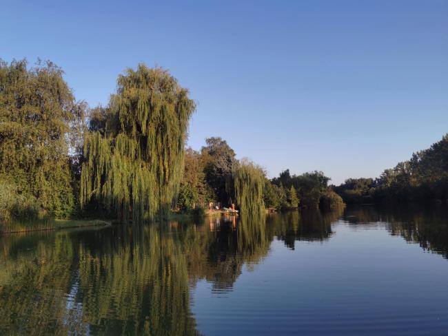 Egyesületünk története