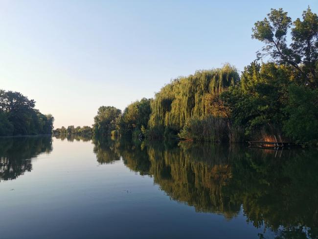 Egyesületünk története